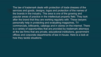 A Trademark Business Lawyer Miami Knows How To Tackle Legal Issues