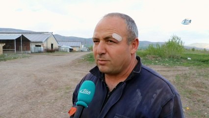 Ahırlarda elektrik üretip, satıyorlar