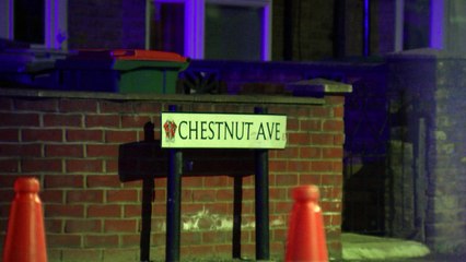 Teenager fatally stabbed in Newham overnight