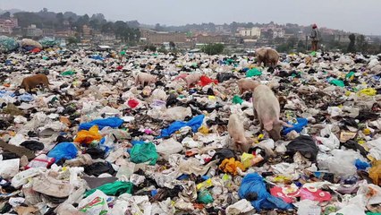 Researchers engineer plastic-eating enzyme