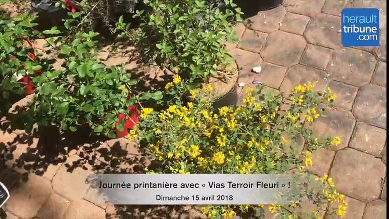 VIAS - Journée printanière avec « Vias Terroir Fleuri » !