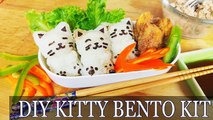 ASMR COOKING DIY CAT BENTO KIT - how to make cute Japanese onigiri - easy karaage food recipe