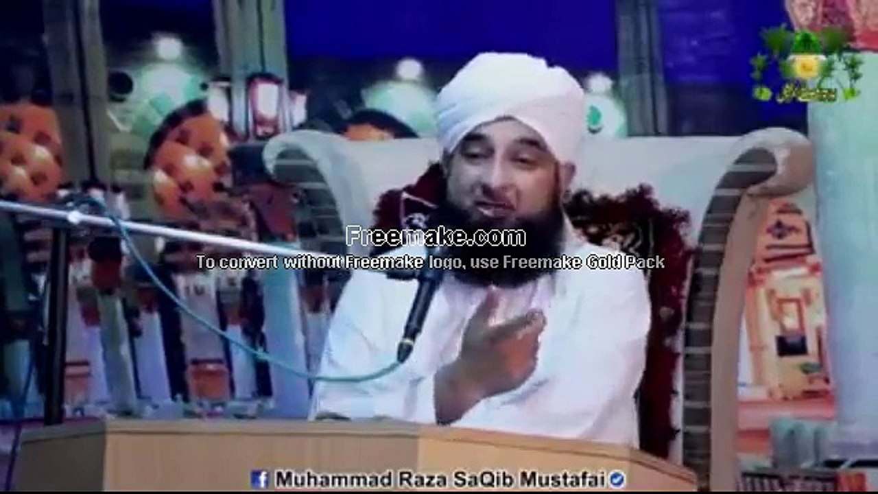Muhammad Raza Saqib Mustafai (251)