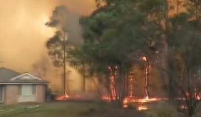Avustralya’daki orman yangını büyüyor