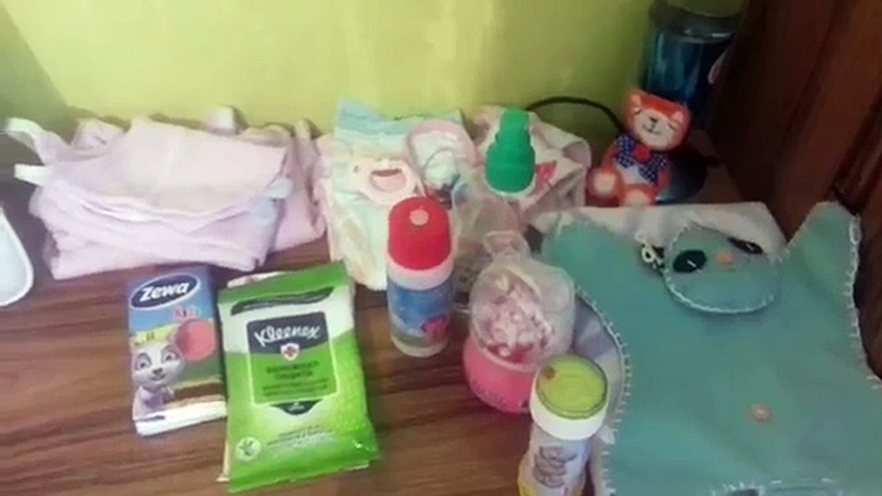 Собираемся с реборном в мини путешествие