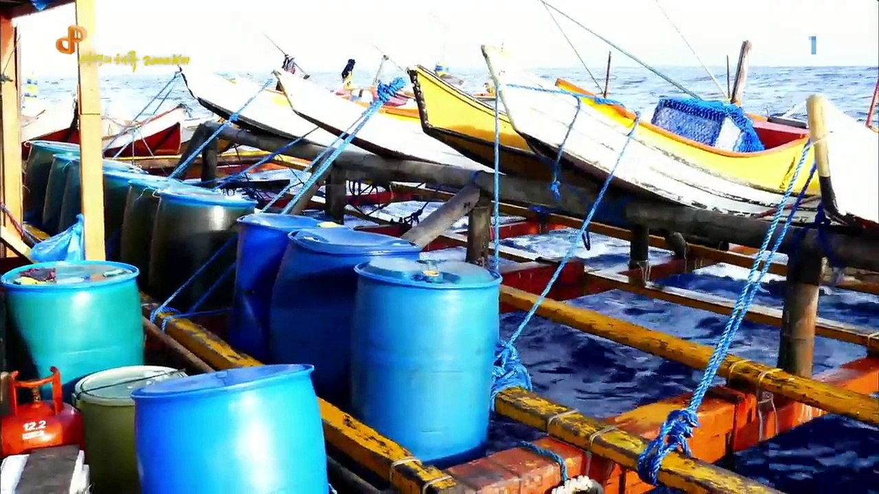 EBS 다큐프라임 - Docuprime_[생명의 해류 2000km- 지구의 동맥 적도해류]_#001