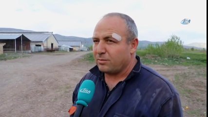 Ahırlarda Elektrik Üretip, Satıyorlar