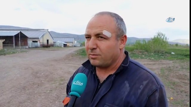 Ahırlarda Elektrik Üretip, Satıyorlar