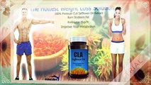 Cla Safflower Oil - Suppress Your Appetite & Boost Your Metabolism!