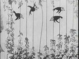 Van Bueren Collection Feathered Follies (1932)