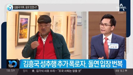 김흥국 미투, 음모 있었나