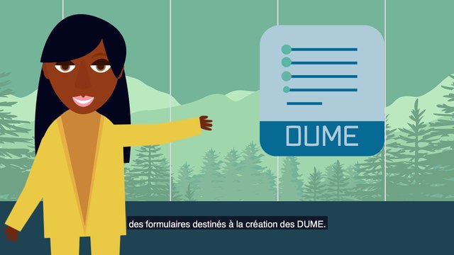 Le service DUME pour les entreprises