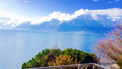 A vendre - Appartement - Clarens (1815) - 2 pièces - 55m²