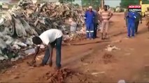 Afrique : Un homme attrape et endort un serpent à mains nues (Vidéo)