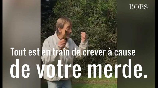 Pesticides : Mes abeilles ont été massacrées ! Le cri d'alarme d'un apiculteur breton