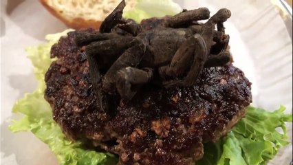 Un restaurant sert des burgers garnis d’une grosse tarentule