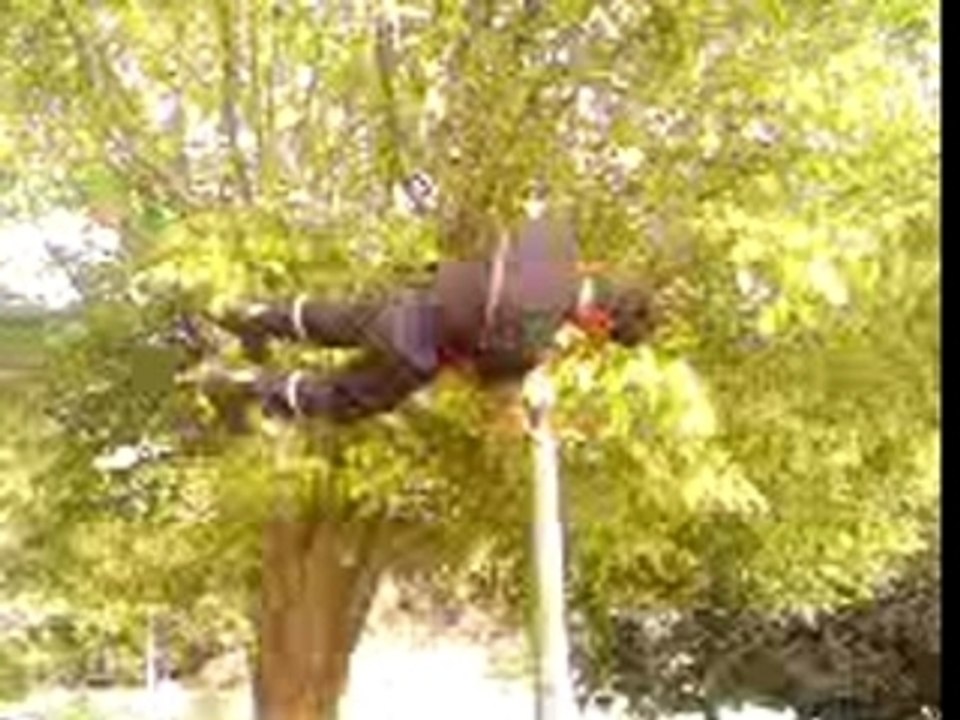 Video-0001