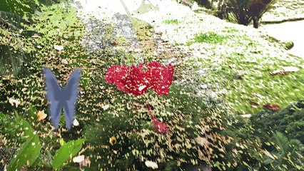 Vila Itoupava - Pesqueiro Recanto Treze Lagoas