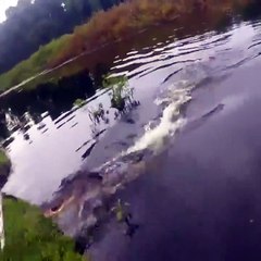 Un pêcheur a une sale surprise au moment de retirer un poisson de sa ligne (Floride)