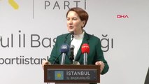 Meral Akşener'den Erken Seçim Açıklaması