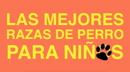 Las mejores razas de perro para niños