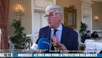 À Marseille, 42 pays se mobilisent pour sauver les abeilles et préserver l'avenir de notre planète