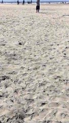 New Periscope Just Out by JackieBeeR