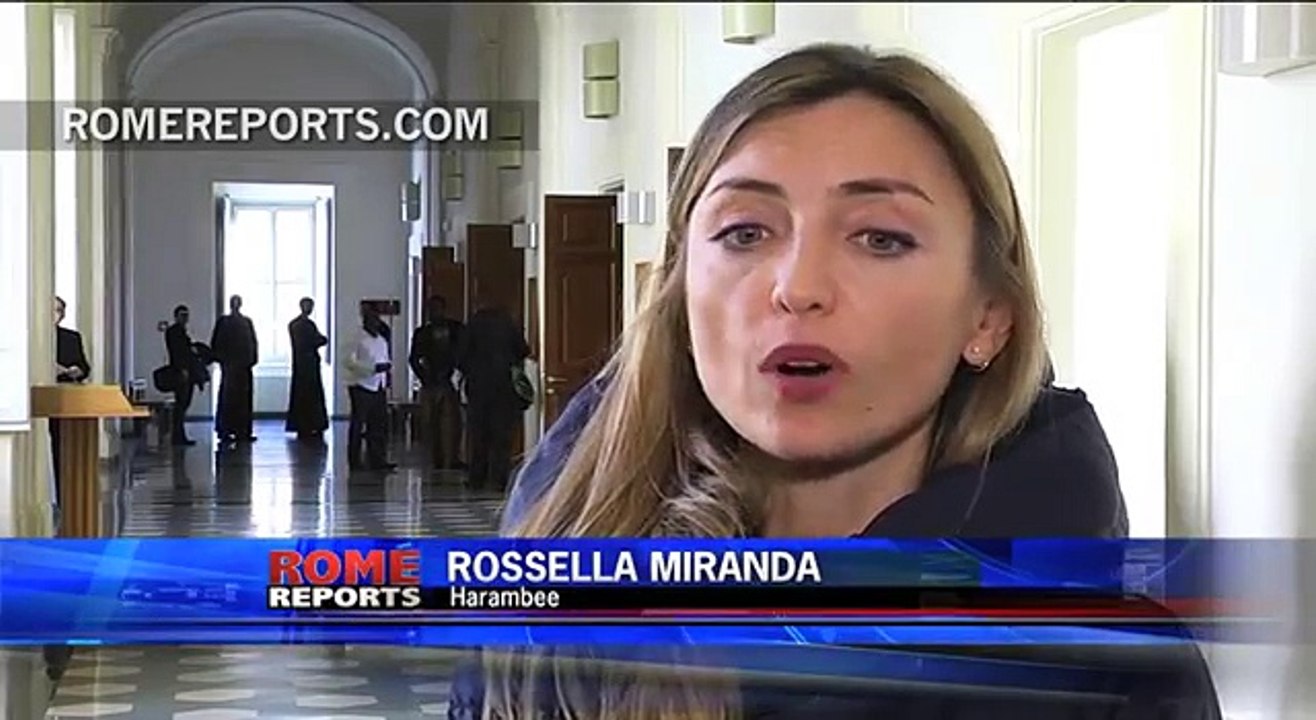 Harambee lanza un concurso de vídeos para mostrar la otra cara de África