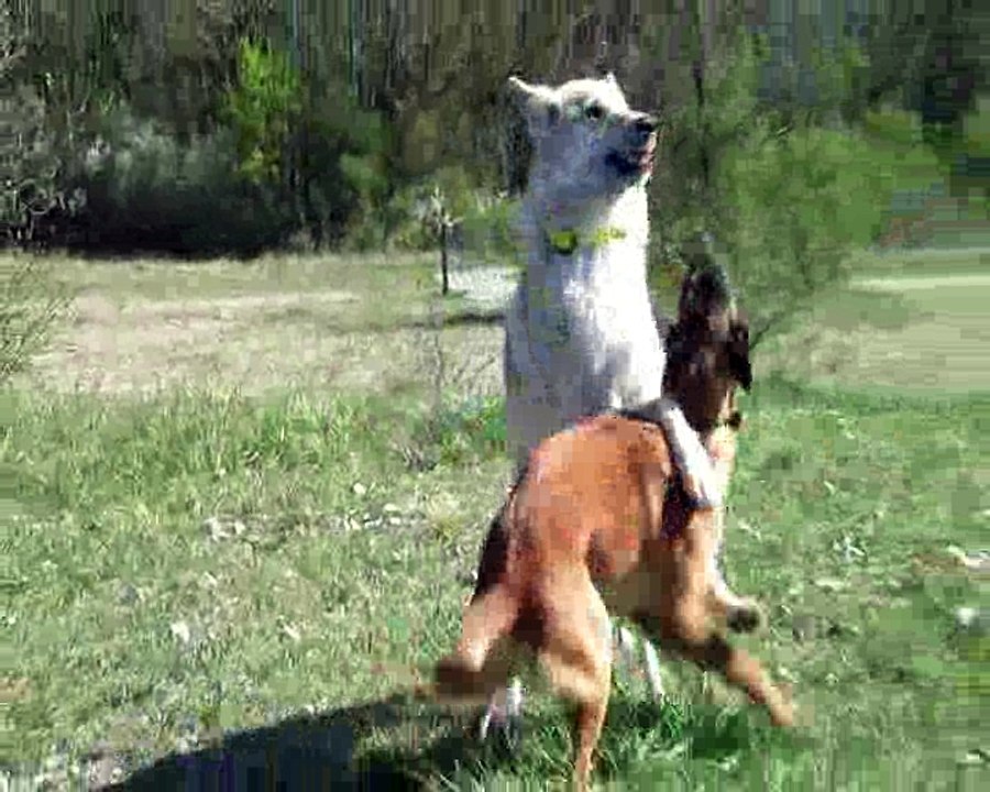 quand Nova retrouve Wakanda  17 04 2018