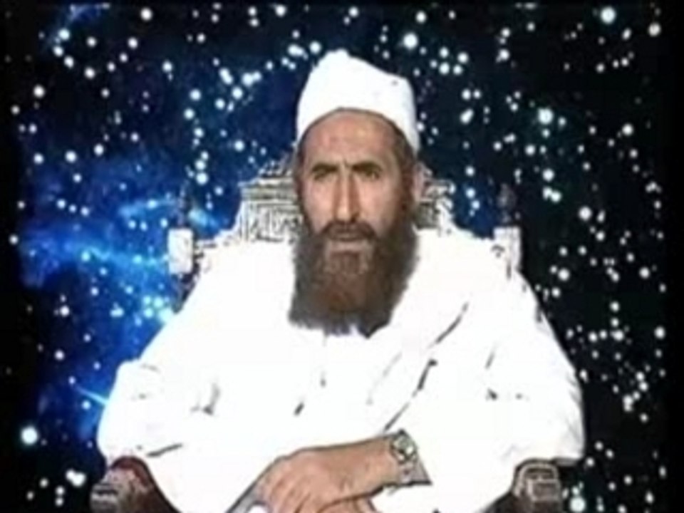 Die Entwicklungsphasen des menschlichen Embryos