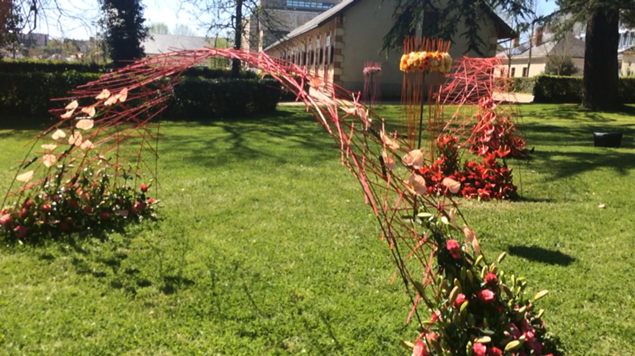 Des milliers de fleurs transforment le haras