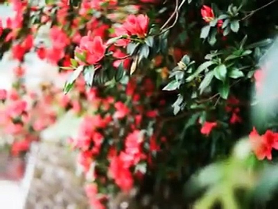 ‏تفاءل ‏قال رسولنا صلى الله عليه وسلم:‏"إن الله لا يقضي للمؤمن قضاءً إلاّ كان خيراً له"‏حديث صحيح