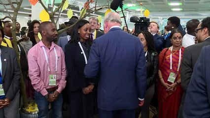 Prince Charles meets people from across the Commonwealth