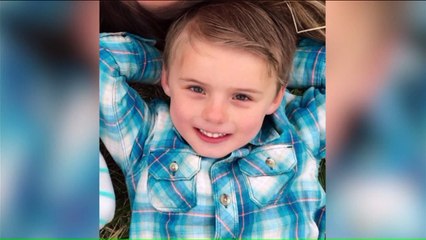 7-Year-Old Severely Injured by Foul Ball at Baseball Game