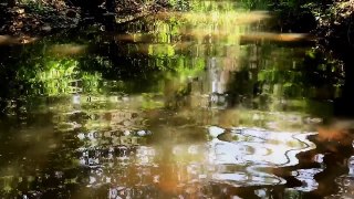 Mandaguari Parana 2017 HD - A natureza e sua essencia