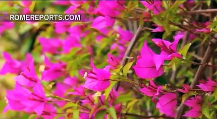 "La gran meretriz"; recopila los diez tópicos más falsos sobre la Iglesia católica