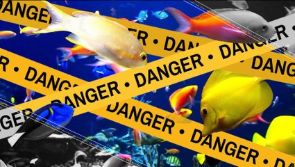 These Are The Most Endangered Ecosystems