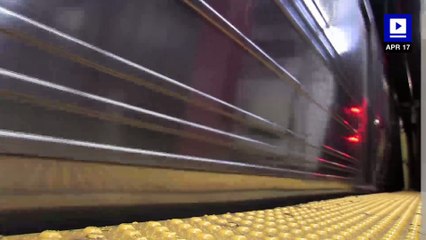 New York City Mice Found to Have Antibiotic Resistant Genes