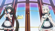 NEKOPARA Anime OVA Opening