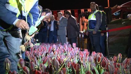 Dünyanın en büyük Türk Bayrağı temalı lale peyzajı Kayseri’ye yapılıyor