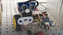 This cute robot is every hacker's ultimate nemesis