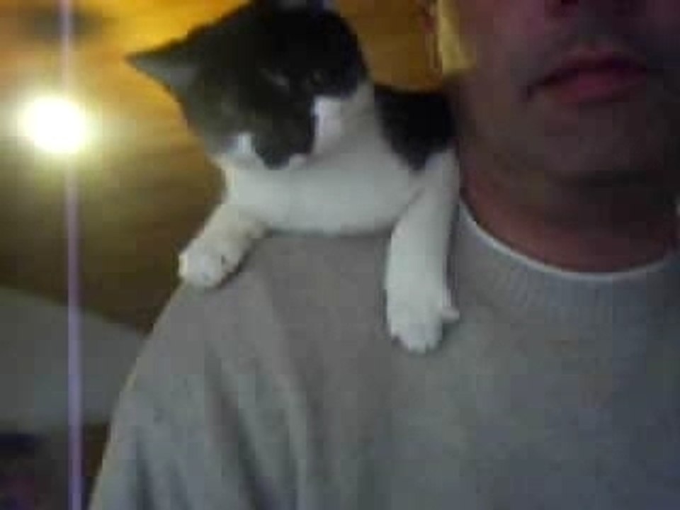 suite et fin ron ron ron ron