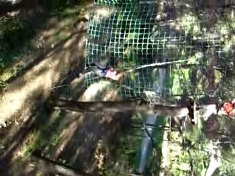 Accros branche salon de provence