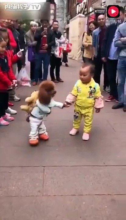 ¿Un niño o un perrito?