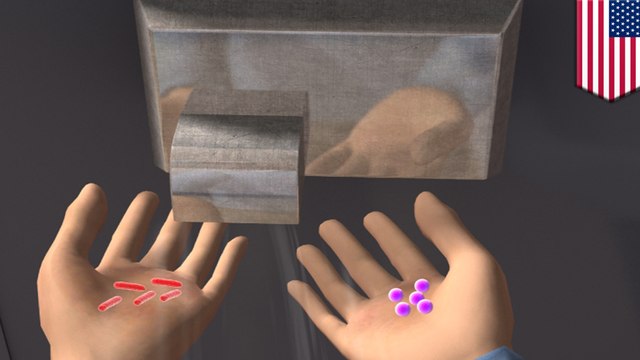 Study finds restroom hand dryers circulate poop bacteria