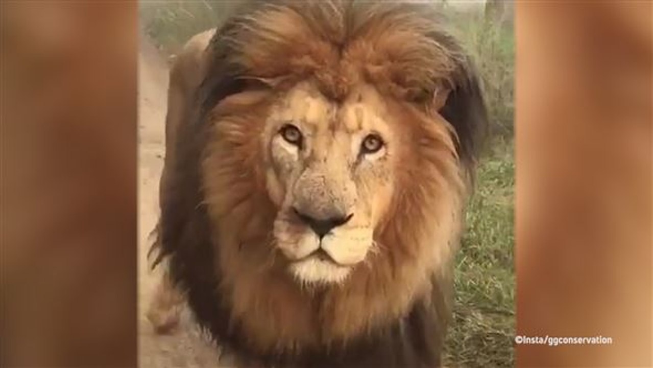 Der König ist tot, es lebe der König!