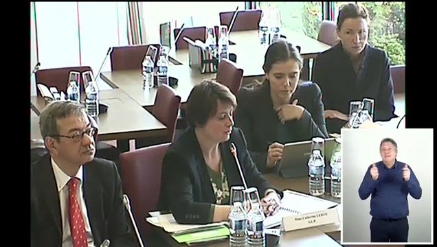 Groupe de travail Conditions de travail et collaborateurs : Audition de deux services (SLP et SAIP) - Mardi 17 avril 2018