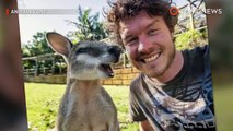 Selfies con animales salvajes en Instagram y Facebook promueven el maltrato animal - TomoNews