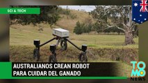 Investigadores en Australia crean robot autónomo que puede cuidar del ganado