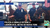 Policía de la unidad montada de Nueva York y su caballo detienen asaltante en estación de metro